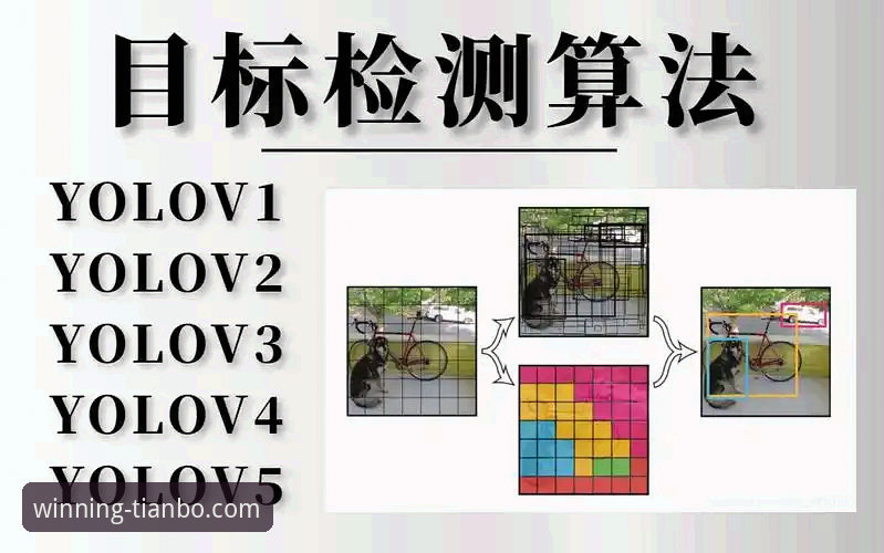天博使用教程 天博体育平台使用教程深度分析:从入门到精通的全面解析